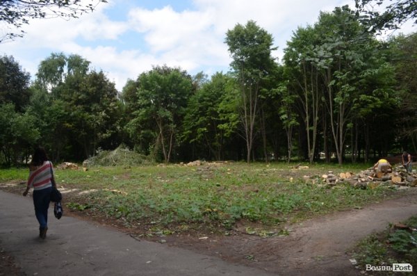 У Луцьку ріжуть дерева, аби збудувати церкву. ФОТО